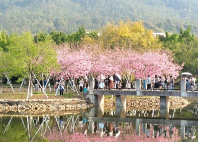 韶关学院怎么样？