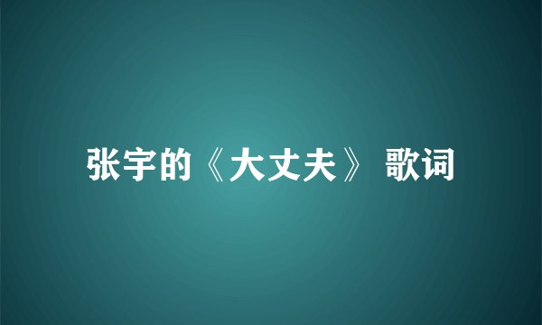 张宇的《大丈夫》 歌词