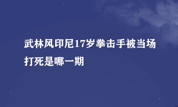 武林风印尼17岁拳击手被当场打死是哪一期