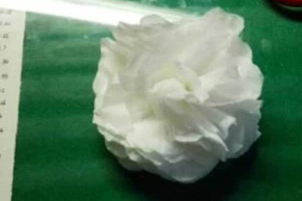 卫生纸叠白花怎么叠