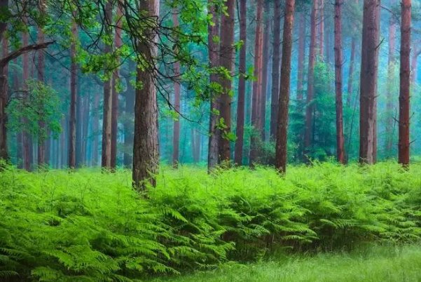 不可计数的读音