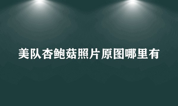 美队杏鲍菇照片原图哪里有