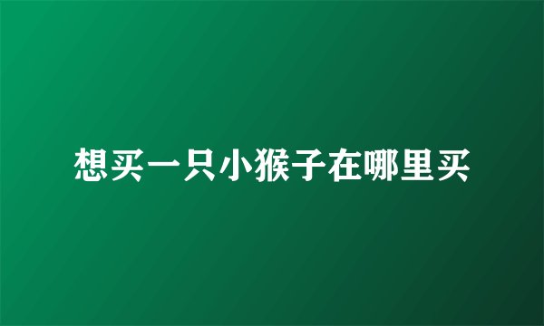 想买一只小猴子在哪里买