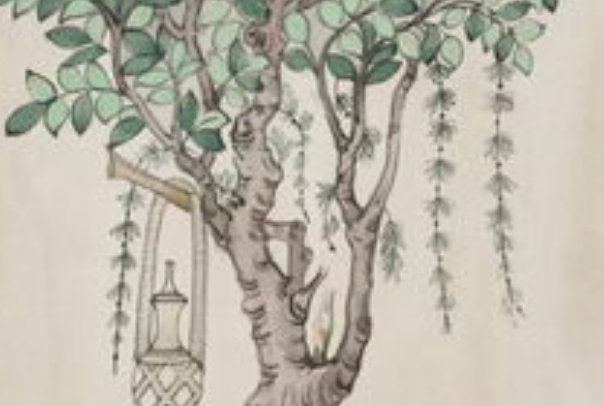 最难画的大树怎么画