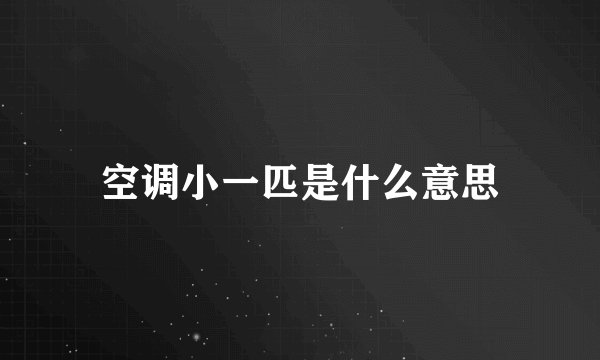空调小一匹是什么意思