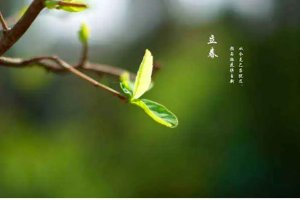 2015年2月4日几时立春？