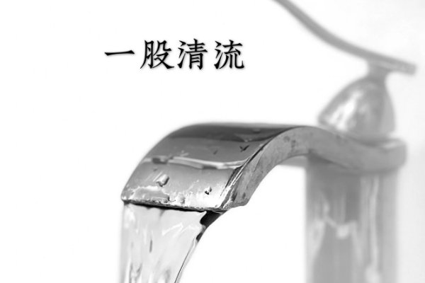 一股是什么意思