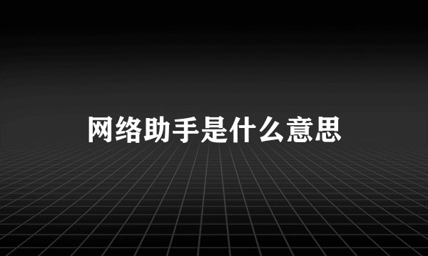 网络助手是什么意思