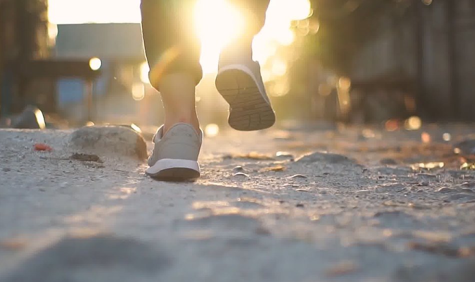 迎接的近义词是什么