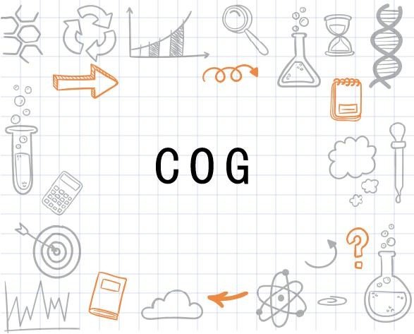cog什么缩写