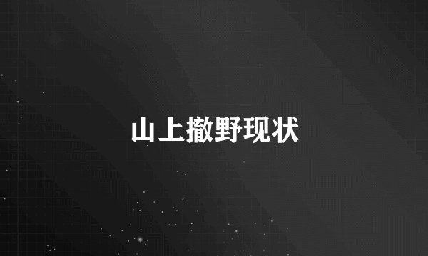山上撤野现状
