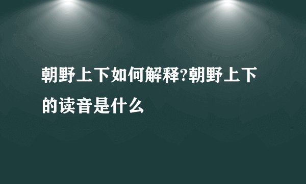 朝野上下如何解释?朝野上下的读音是什么