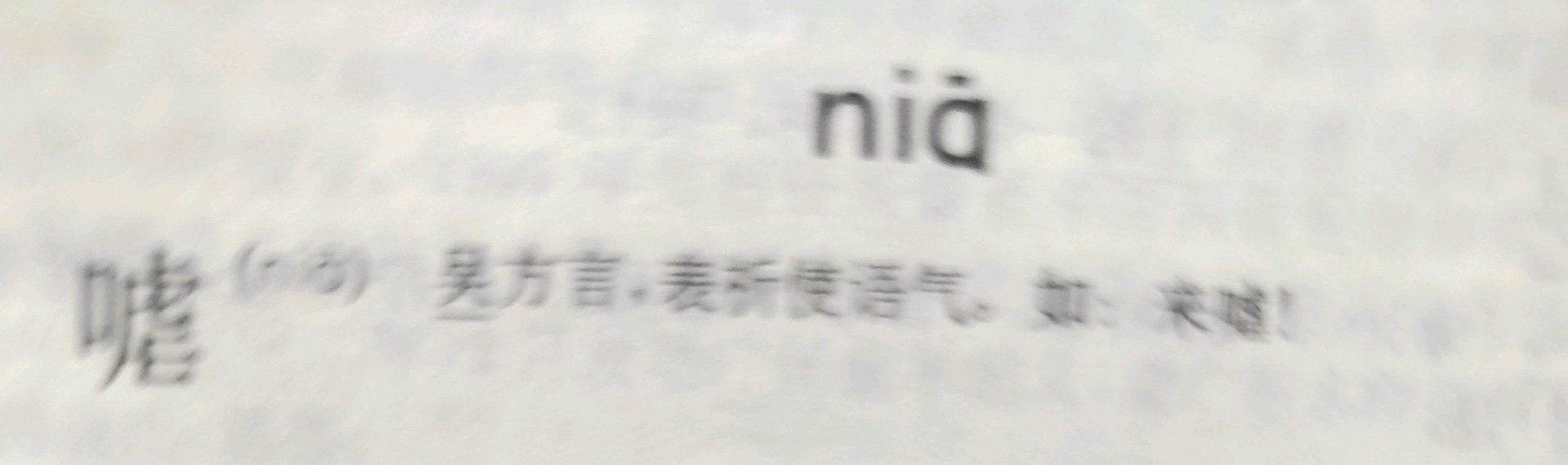 nia的汉字怎么写？