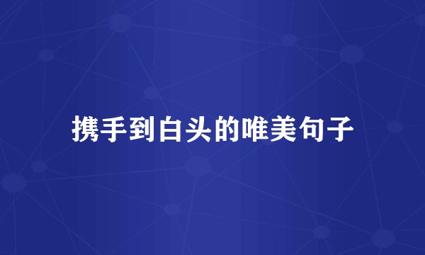 携手到白头的唯美句子
