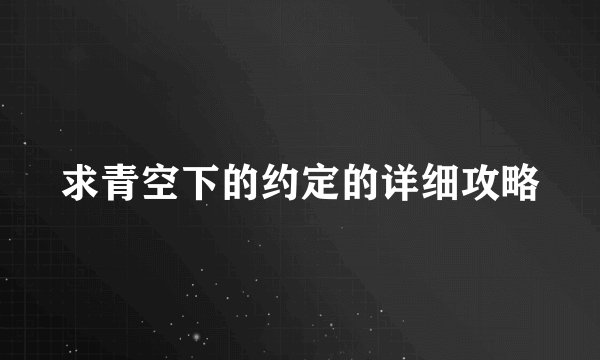 求青空下的约定的详细攻略