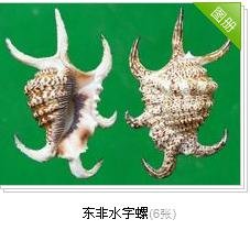 求？？这是什么物种？？