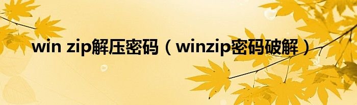 winzip解压密码winzip密码破解