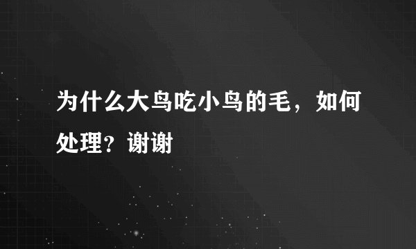 为什么大鸟吃小鸟的毛，如何处理？谢谢