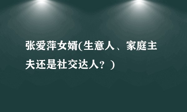 张爱萍女婿(生意人、家庭主夫还是社交达人？)