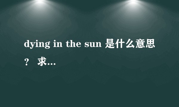 dying in the sun 是什么意思？ 求dying in the sun 的中文歌词