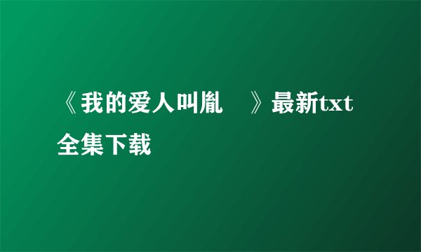 《我的爱人叫胤禛》最新txt全集下载