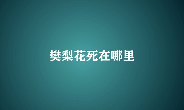 樊梨花死在哪里