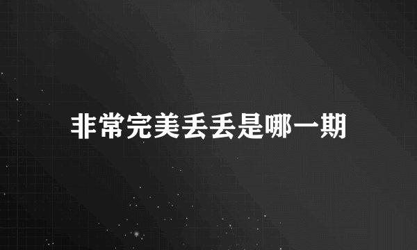 非常完美丢丢是哪一期