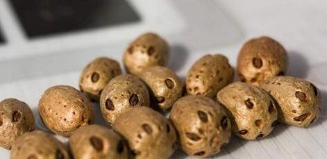 1500万年前的枣被发现，那个时代的枣长什么样？