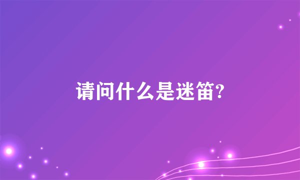 请问什么是迷笛?