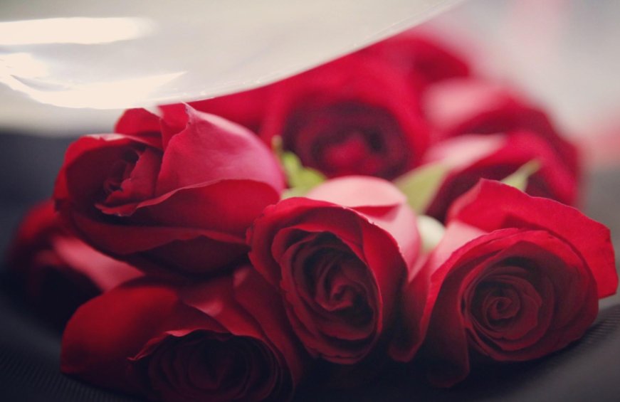 送6朵玫瑰花代表什么意思