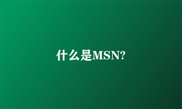 什么是MSN?