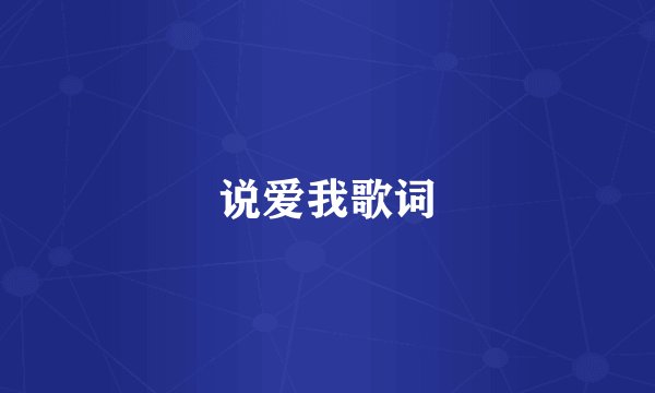 说爱我歌词