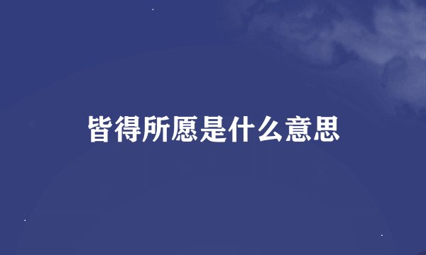 皆得所愿是什么意思