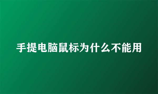 手提电脑鼠标为什么不能用