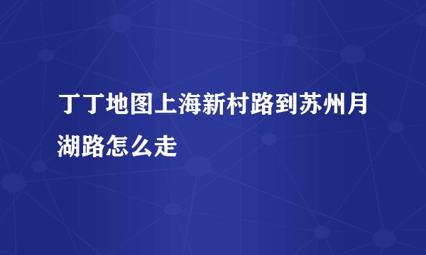 丁丁地图上海新村路到苏州月湖路怎么走