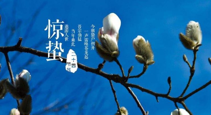 蛰的读音是什么