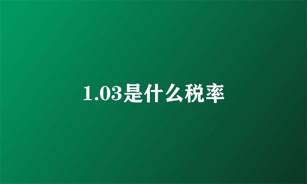 1.03是什么税率