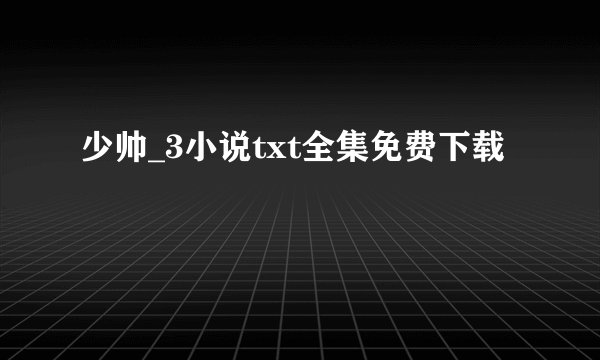 少帅_3小说txt全集免费下载
