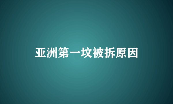 亚洲第一坟被拆原因