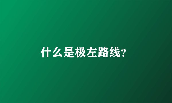 什么是极左路线？