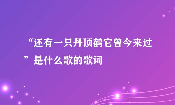 “还有一只丹顶鹤它曾今来过”是什么歌的歌词