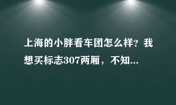 上海的小胖看车团怎么样？我想买标志307两厢，不知从这个团买好不好