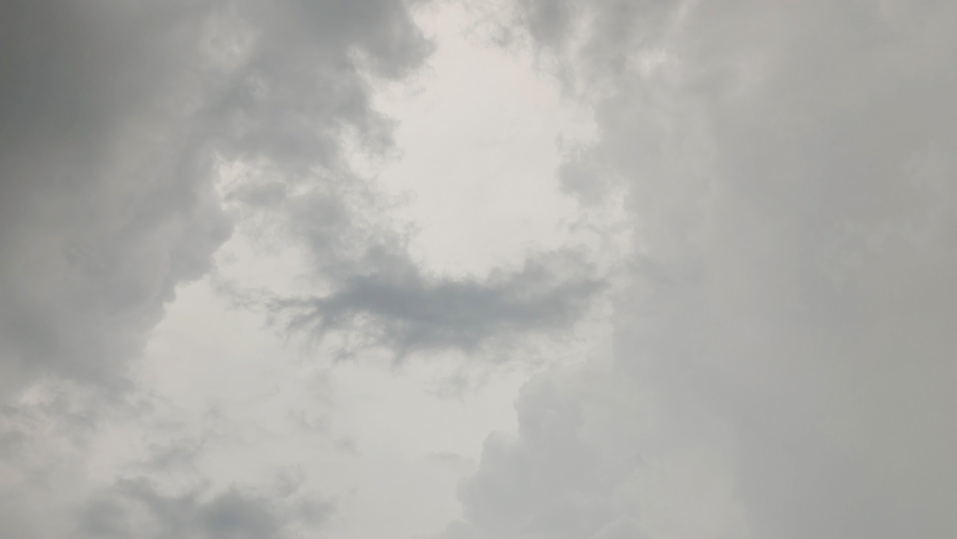 为什么说新疆是个好地方？