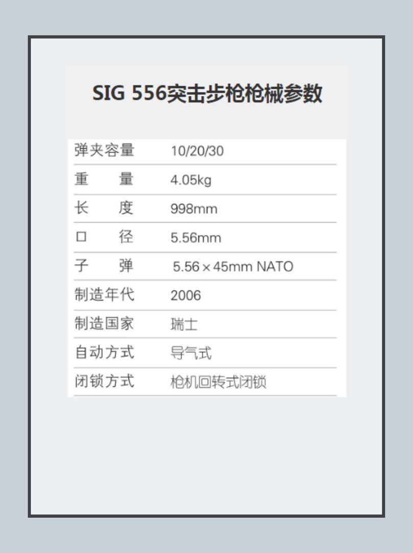 SIG 556突击步枪