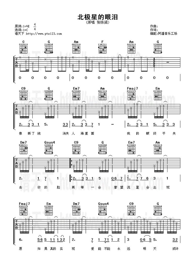谁知道微笑百事达中何群和弟弟比赛时弹唱的《北极星的眼泪》的吉他谱？