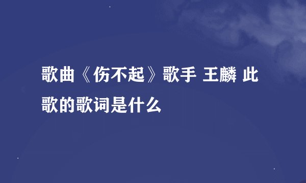 歌曲《伤不起》歌手 王麟 此歌的歌词是什么