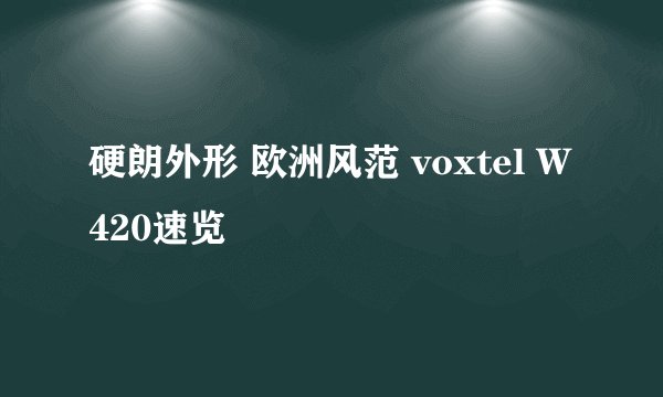 硬朗外形 欧洲风范 voxtel W420速览