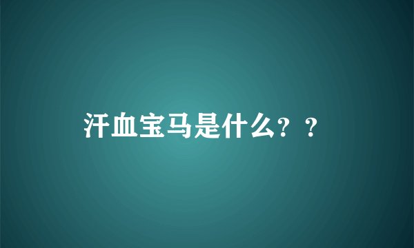 汗血宝马是什么？？
