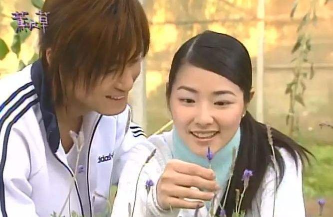 薰衣草的主题曲，片尾曲，插曲分别是什么啊