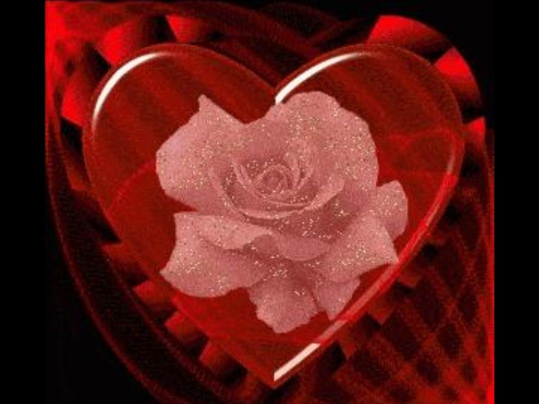 为什么说反反复复来折磨你的人就是觉得你心软并不是爱你？